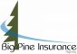 Big Pine Insurance - Auto, Home, Business and Life Insurance